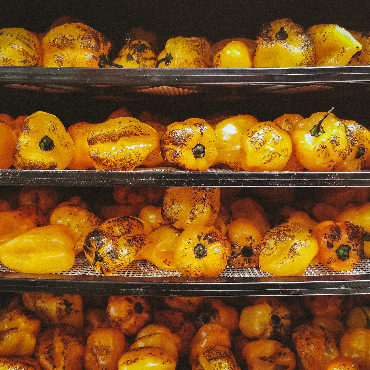 About Island Chef Pepper Co. Hot Sauce Vancouver Island